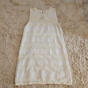 Max Studio Cream Lace Midi Dress